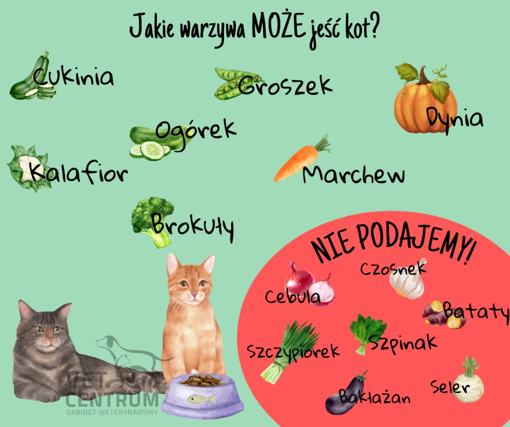 Infografika: warzywa, które może jeść kot, oraz warzywa, których nie podajemy (cebula, czosnek, szczypiorek, szpinak, bataty, bakłażan, seler)